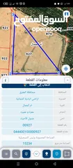  2 ارض زراعيه للبيع بسعر مغري طرف روضة الاميره بسمه