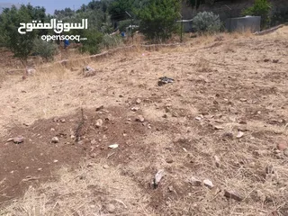  5 ارض للبيع في عجلون (صخرة)