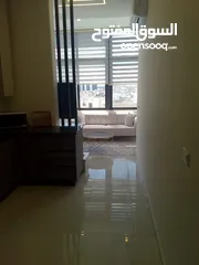  14 Furnished Apartment to Rent  ( Property 42214 )-174775235