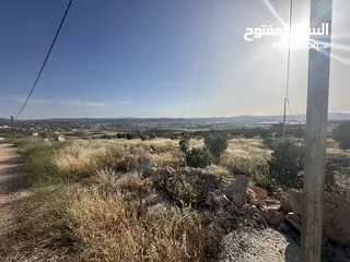  3 ارض للبيع جنين
