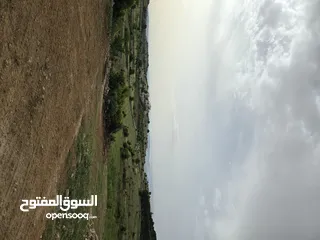  22 غرب سوف سهلات الغربيه قرب قصر السفير الاماراتي منطقه فلل و مزارع راقيه