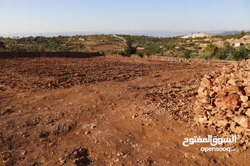  5 أرض في أعلى قمم جبال جرش مثمرة، مخدومة، ومحيطة بمشاريع وشاليهات جاهزة للاستمثار!