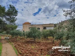  11 عمارة تجارية و سكنية  في جرش للبيع العمارة على شارعين    شارع رئيسي و شارع فرعي في منطقة حيوية