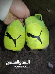  7 حذاء رياضي puma