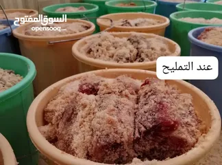  5 متوفر مالح جيذر