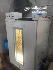  3 فقاسات فل تماتيك