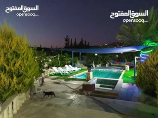  17 مزرعة للإيجار اليومي والاسبوعي والشهري