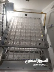  5 فقاسات فل تماتيك