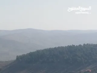  4 العنيبه منبسطه واصل الخدمات اطلاله رائعة  لكامل القطعه
