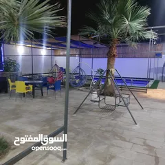  26 مزرعه و شاليه للإيجار اليومي مزارع وشاليهات للايجار يومي أسبوعي شهري في أرقى مكان في الغور تل الروضه
