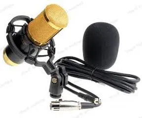  2 microphone condenser مايكروفون احترافي