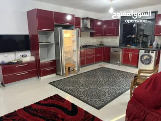  1 شقه مفروشه في البالوع