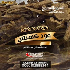  1 عود كلمنتان طبيعي