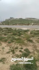  1 قطعة ارض مربعة الشكل في زواتا