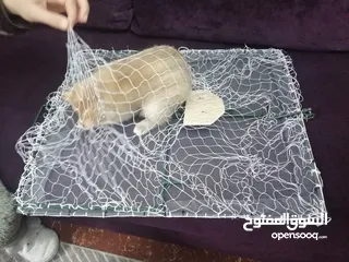  4 فخ طيور كبير مصيدة شبكة صيد