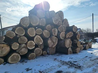  25 اثاث منزلي من الخشب الطبيعي الكامل والشجر المعمر لكل قطعه تفاصيل وحكايه