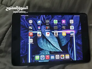  1 ايباد ميني 5 يدعم شريحة اتصال