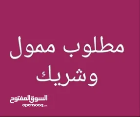  1 مطلوب ممول لمشروع قائم وفعال المبلغ 3,000 دينار مقابل دخل شهري 250 دينار