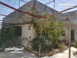  12 بيت مستقل 156م على قطعة أرض مفروزة (4 حدايد) 710م للبيع في ارحابا/اربد
