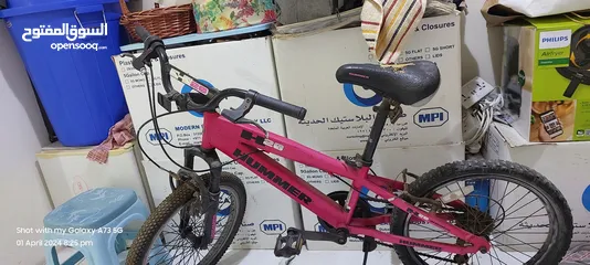  2 pink cycle