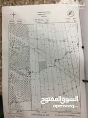  2 ثاني قطعة عن شارع البترا - 35 متر عن شارع البترا