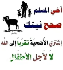  24 لحام متنقل ذبح أضاحي خاروف عجل بلدي جمل غنم بلدي روماني برزيلي كولمبي اسباني خروف بلدي جزار متنقل