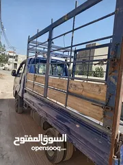  6 بكم فحل 2011