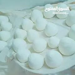  8 البان وجبان لليث