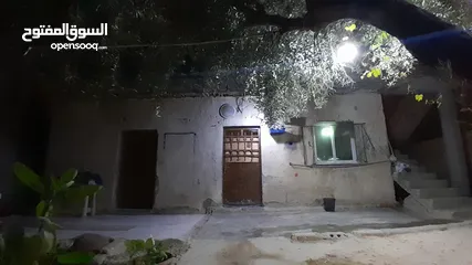  1 بيت مكون من غرفتين + صاله خارجيه+ صاله داخليه +مطبخ +حمام