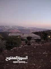  18 ارض للبيع مساحة4300م وعلى الواقع 12دونم تصلح بيت ريفي شاليه ارض زراعيه ويوجد فيها بيت قيد الانشاء