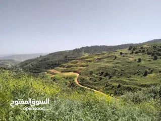  2 أرض مميزة جداً لعمل شاليه استثماري أو مزرعة خاصة أو مزرعة تجارية يوجد بها قناة ماء من المالك مباشرة