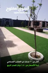  1 عشب صناعي منشاء سعودي