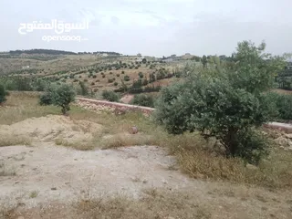  20 أرض ذات إطلالة خلابة في أجمل مناطق جرش