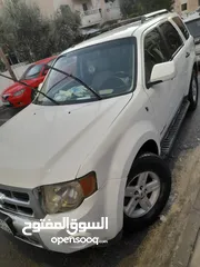  11 فورد اسكيب