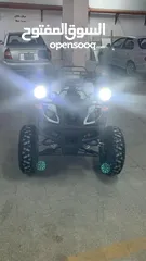  5 دباب جبلي رباعي