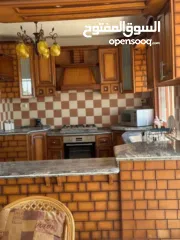  1 شقه مفروشه للايجار في المصيون خلف فندق Cesar