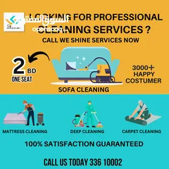  2 Professional cleaning services