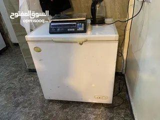  6 باب سكاريت وجرل وفريزر