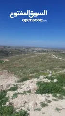  13 قطعة ارض مميزه للبيع الخليل دورا خلة العقد مساحة الارض 590 متر