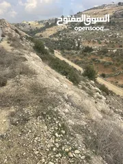  4 ارض في العابد