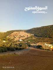  14 بيت مستقل حديث