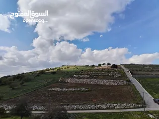  13 قطعه أرض في اجمل مواقع عجلون