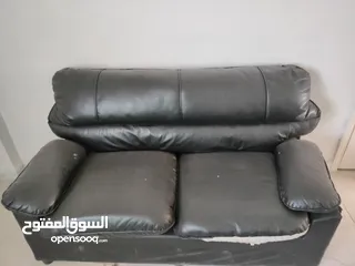  1 كنب الدب مستعمل