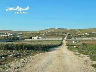  10 ارض زراعية في بلعما للبيع مساحتها 3500 متر