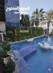  1 swimming pool maintenance work cleaning electric and plumbing