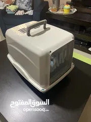 8 For sale اغراض متفرقات( قطط)
