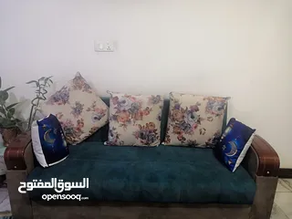  1 يوجد تخم للبيع لا يوجد به عيب