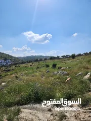  12 قطعة مميزة 2400 متر حوض ابو ركبة بالقرب من بدر الجديده  منطقه فلل وقصور