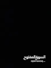  1 شقة عظم والتفاصل في فيديو بعد الصورة الاولى