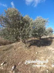  1 أرض للبيع للبناء مساحة 670 متر مربع مرتفعة ومطلة وقريبة من جامعة بير زيت